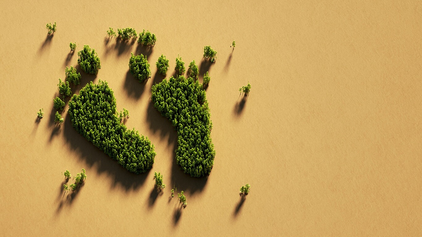 Green footprint made from trees