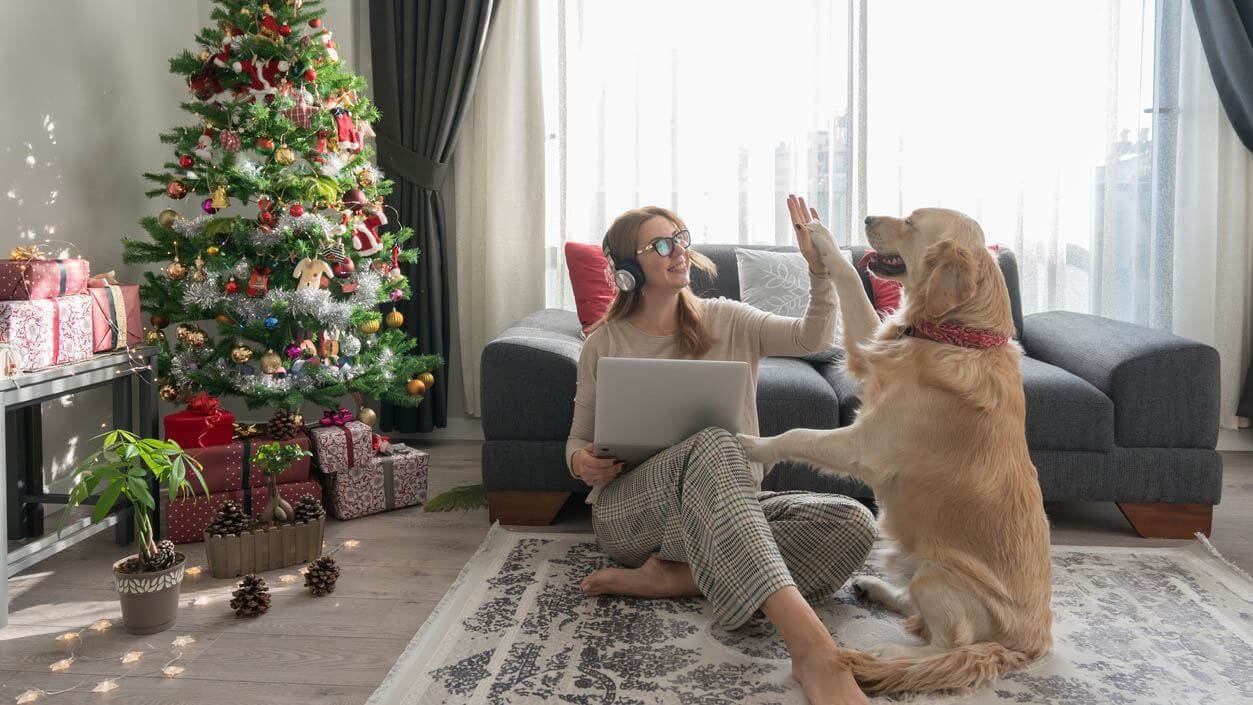 Women surfing the web whilst giving her dog a hi5