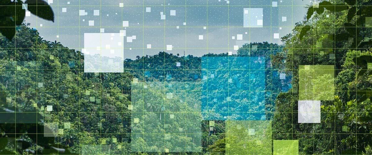 pixelated image of a forest