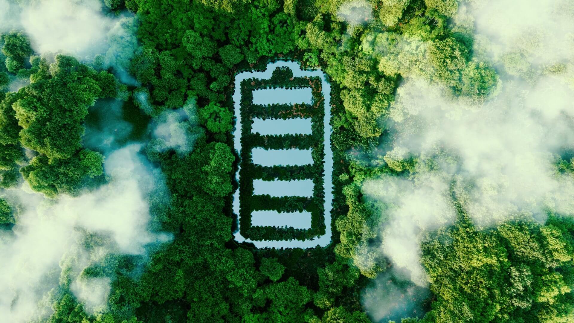 Overview of a forest with a battery in the middle